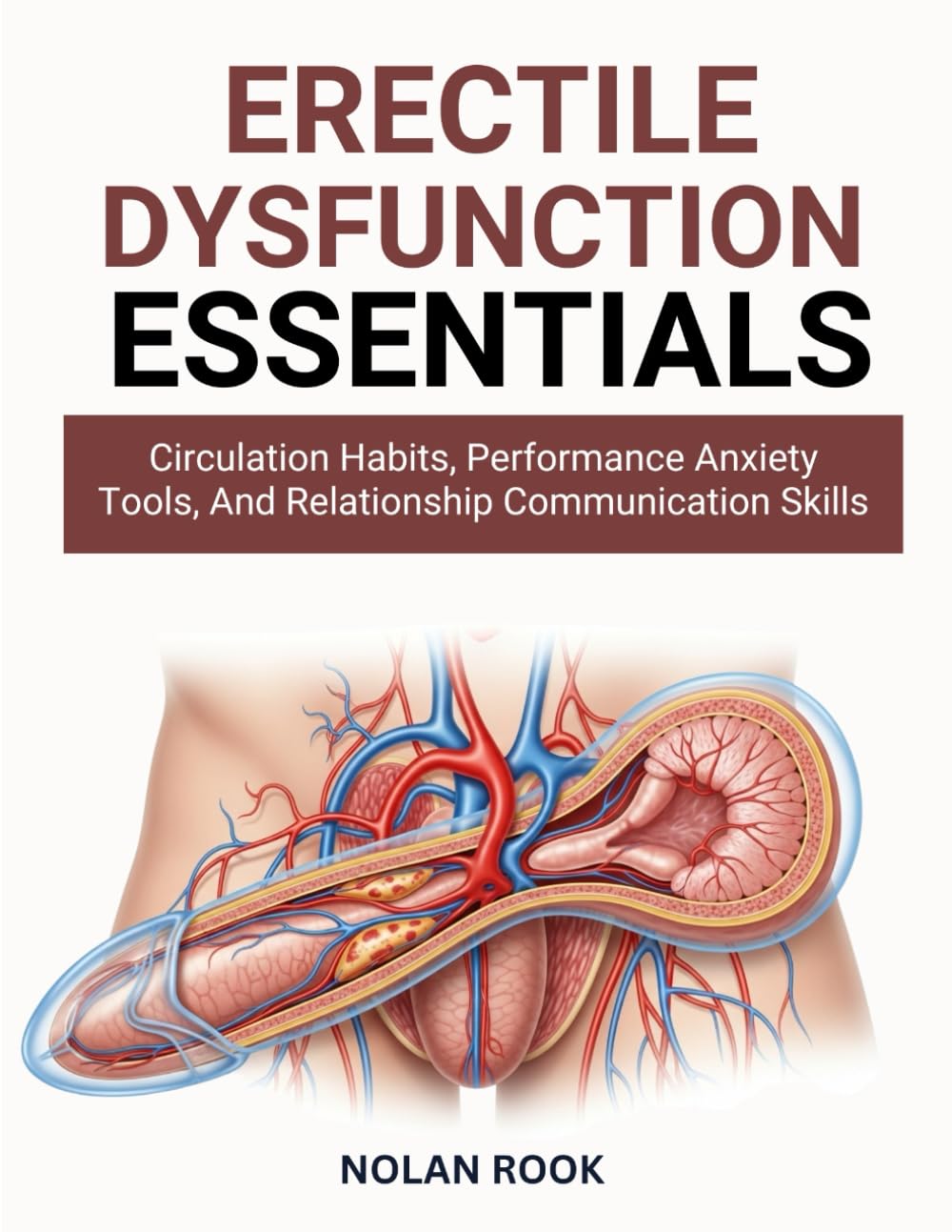 ERECTILE DYSFUNCTION ESSENTIALS: Circulation habits, performance anxiety tools, and relationship communication skills