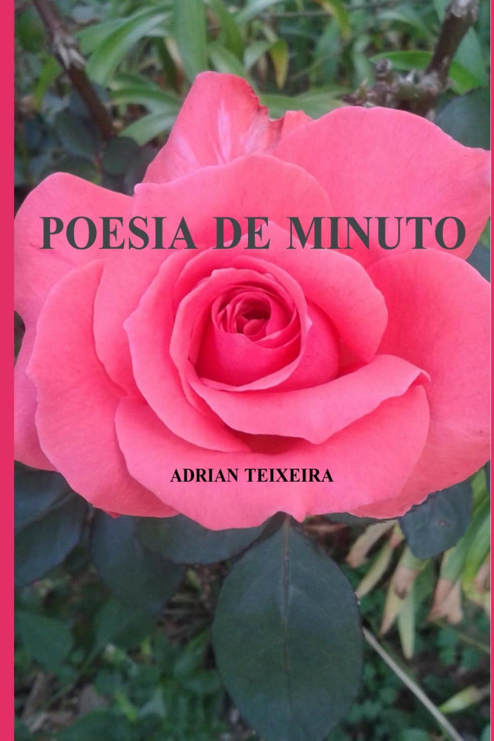 Poesia de Minuto