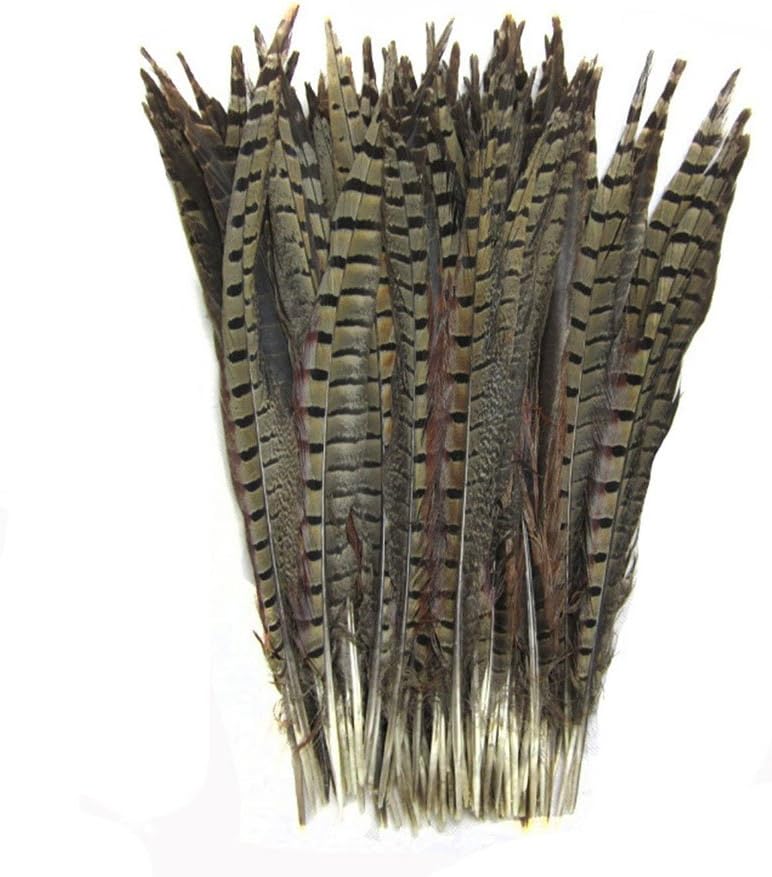KOLIGHT Set of 50pcs Natural Dyed Pheasant Tails Feathers 12-14 Inch DIY Decoration (Natural)