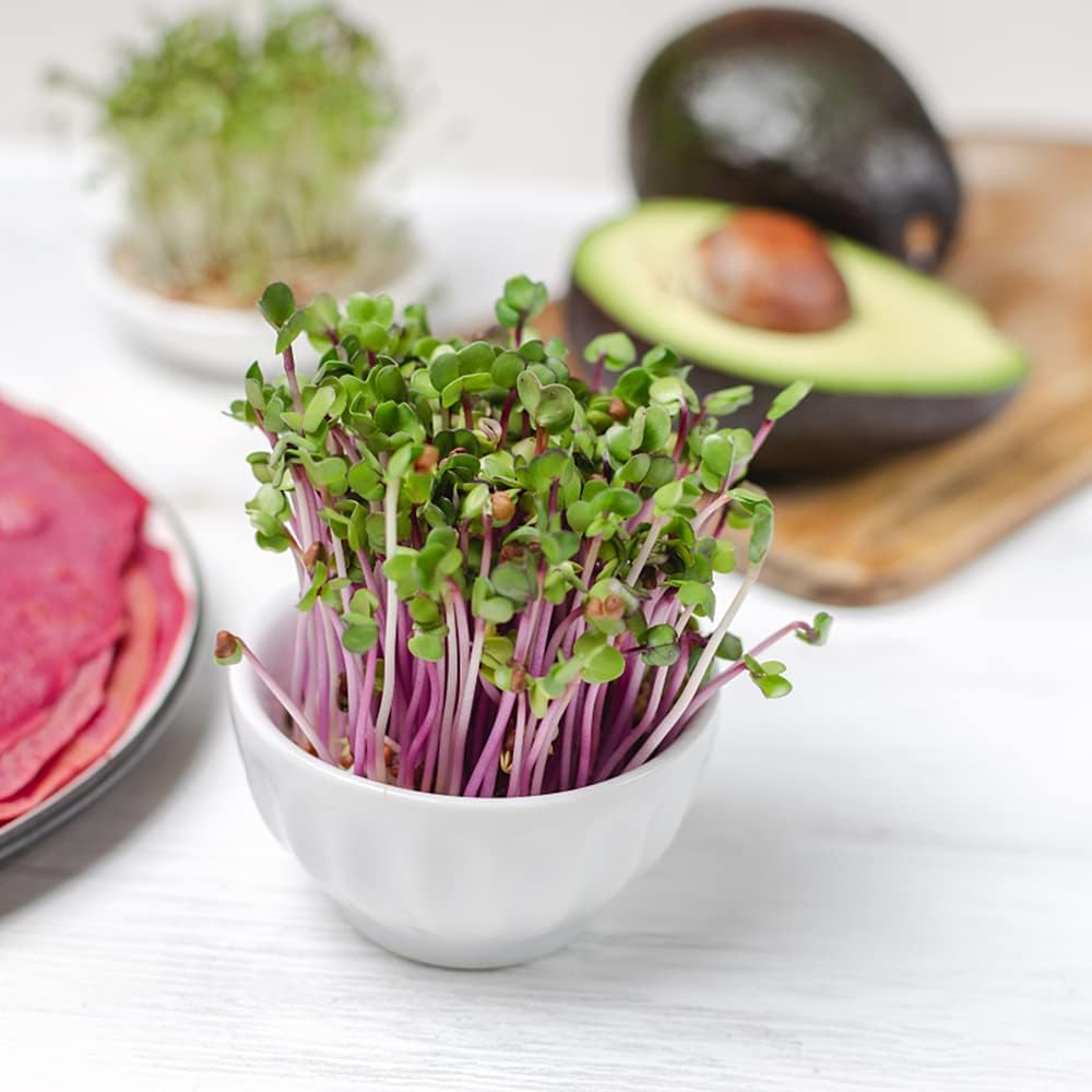 Valeaf BIO Microgreens Samen - Premium Saatgut Für Keimsprossen & Microgreens