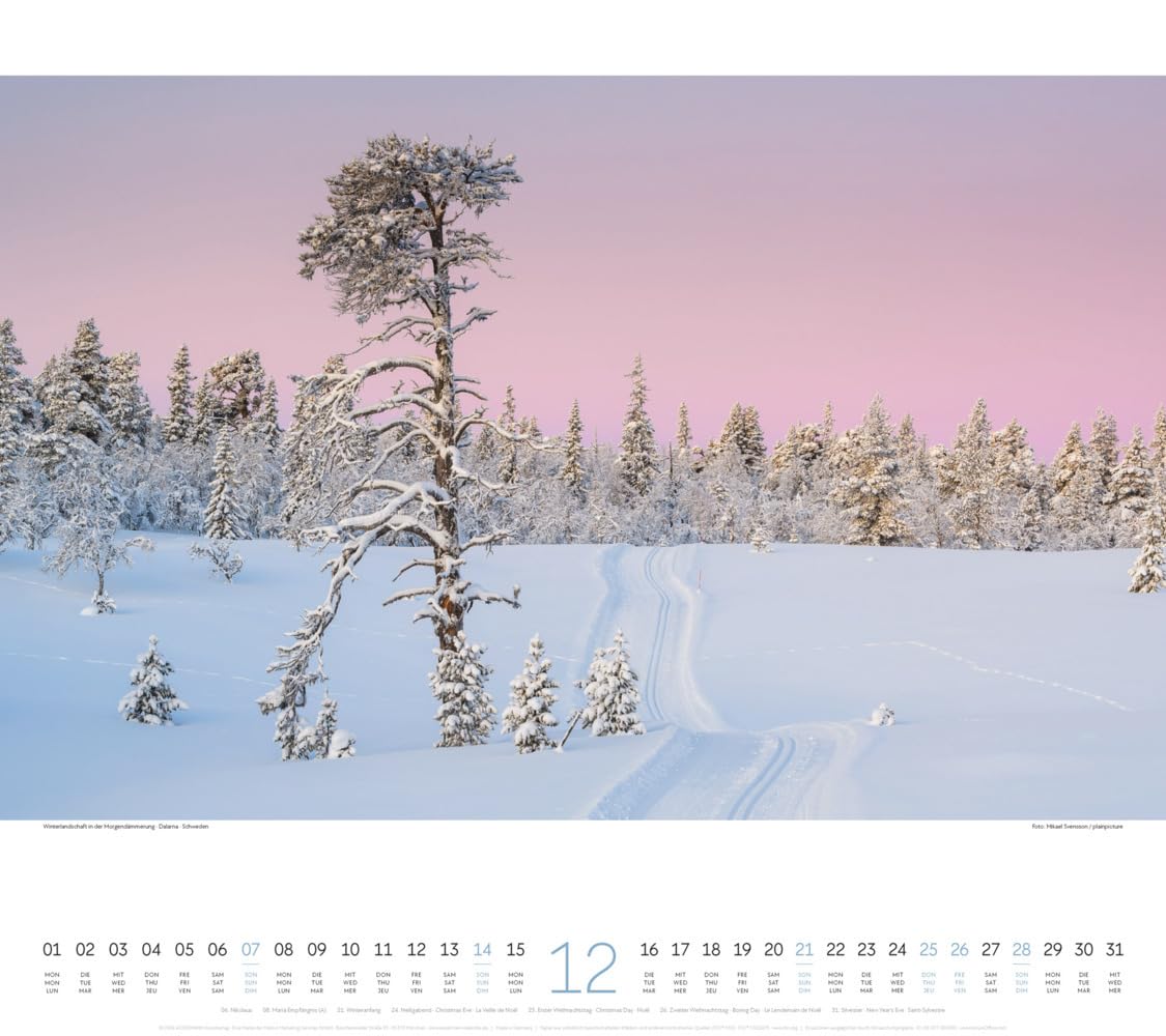 Wege Kalender 2025, Wandkalender im Querformat (54x48 cm) - Landschaftskalender mit traumhaften Pfaden in der Natur
