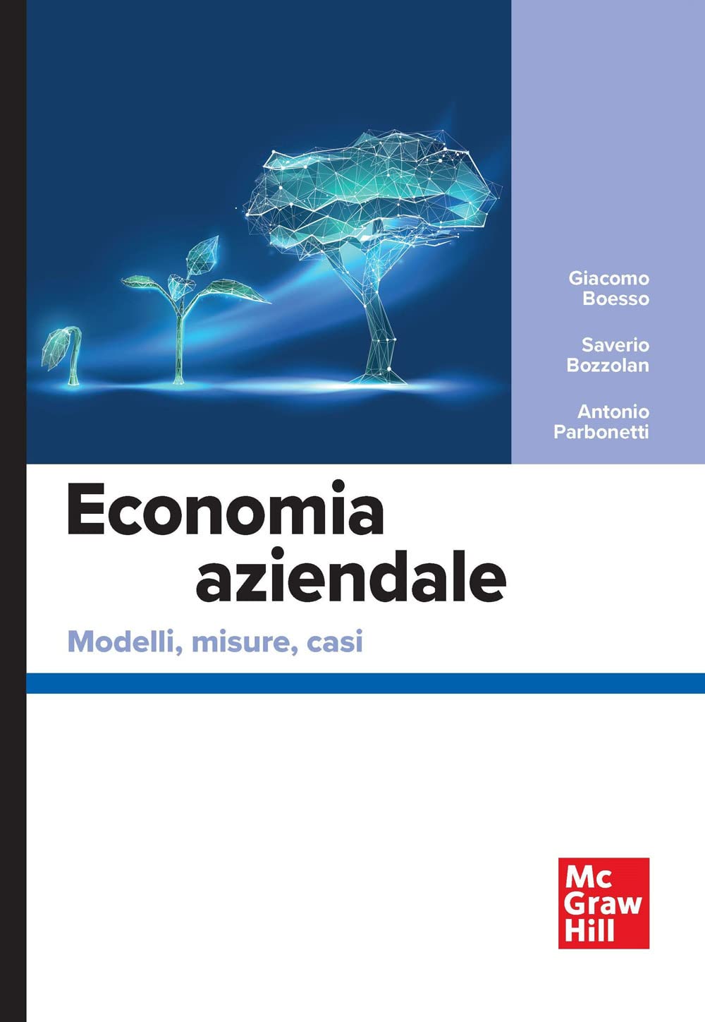 Economia Aziendale. Modelli, Misure, Casi - 4