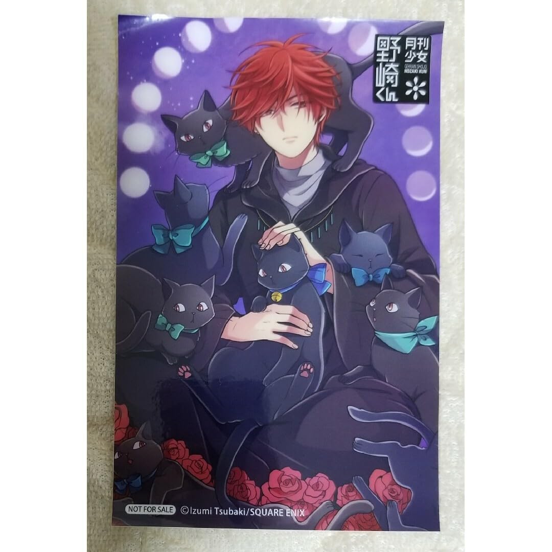 Amazon.co.jp: 月刊少女野崎くん アニメイト特典 タロットカード風  