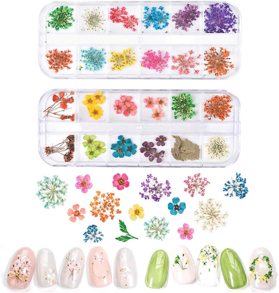 BABALAL Nail Accessories for Resin Nail Art, 2 Boxes Nail Dried Flowers