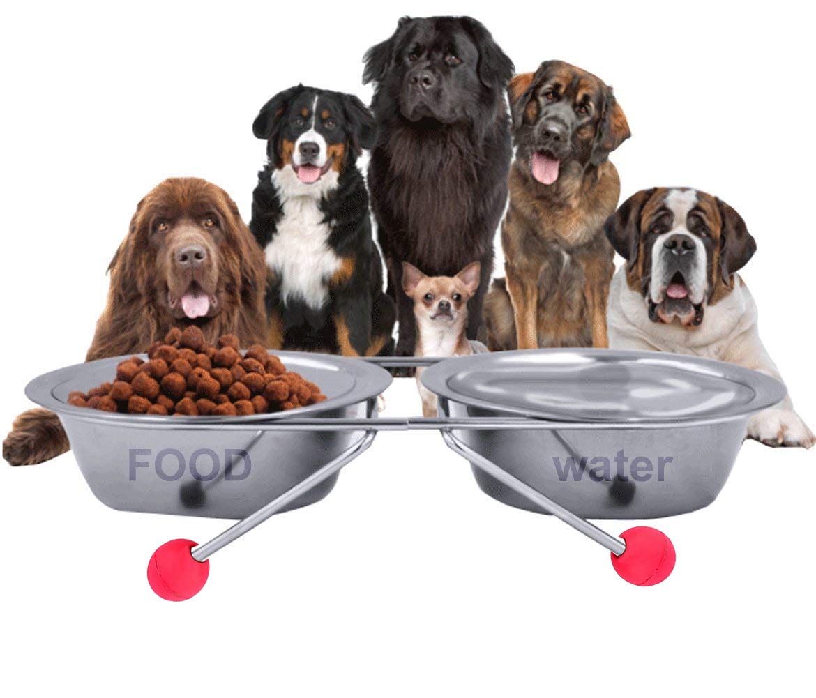 The DDS Store Double Diner Pet Bowls Cups, Stainless Steel Food Water Bowls Bunny Feeder Coop Cups with Non Slip Feeding Station for Dogs Cats Rabbit (2 X 200 ML (X-Small)) (B08G599XF3) Amazon Price History, Amazon Price Tracker