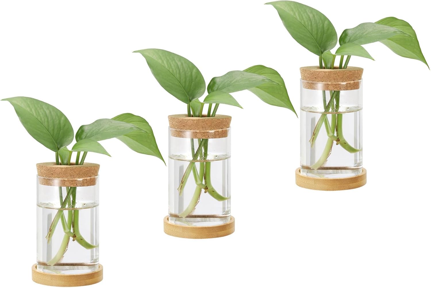 PATIKIL 2.4 x 4.33 Inch Plant Propagation Station, 18 Pcs Plant Terrarium Vases for Home Decoration Garden Gardening Indoor Housewarming Gifts for Plant Lovers Women, Transparent