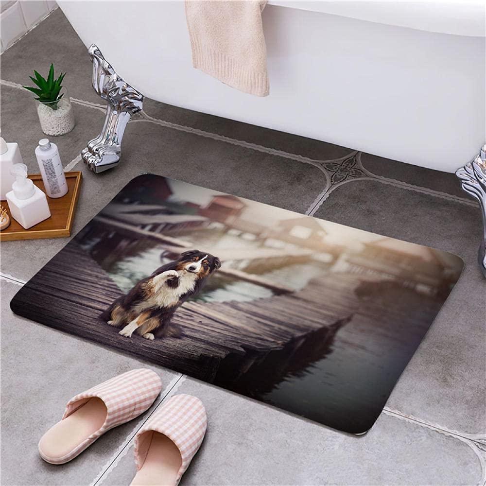 Tapis De Bain Avec Motif De Chiens Amusants, Tapis De Porte Antidérapant Absorbant Pour Salle De Bain, Cuisine, Entrée Intérieure Et Extérieure