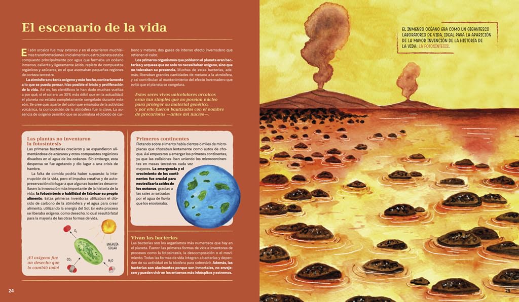 La historia más fascinante del mundo: Historia de la tierra comprimida en un reloj (No ficción infantil)