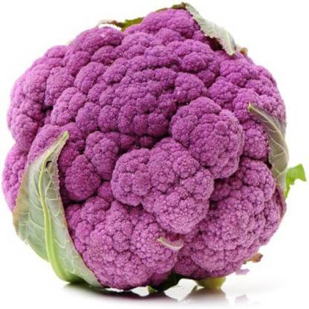 Arlo VEGETABLE SEEDS - HEIRLOOM PURPLE CABBAGE CAULIFLOWER GRAFFITI 20 SEEDS/Cauliflower variety Hybrid Vegetable (Purple)/Yield Hybrid Rare Cauliflower Vegetable (B07FS3DLWC) Amazon Price History, Amazon Price Tracker