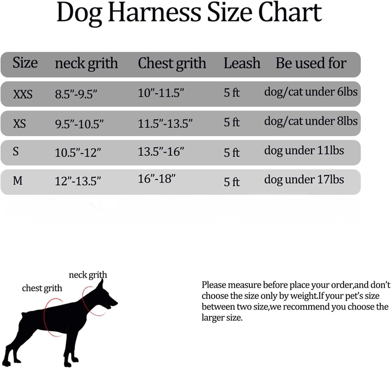 View 5