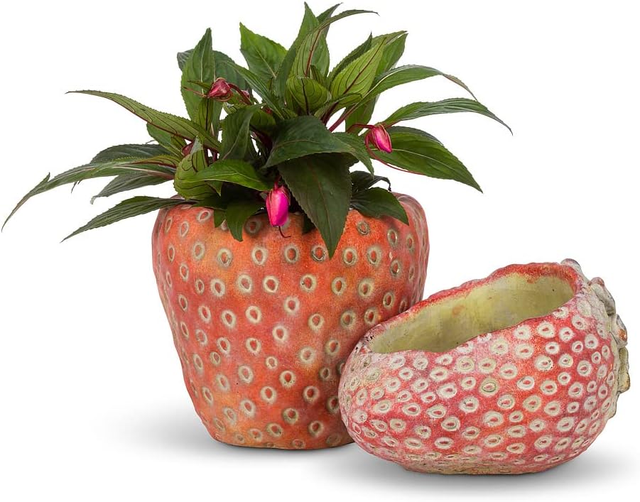 Abbott Collection Laying Strawberry Planter - Cement, Pink (4" H)