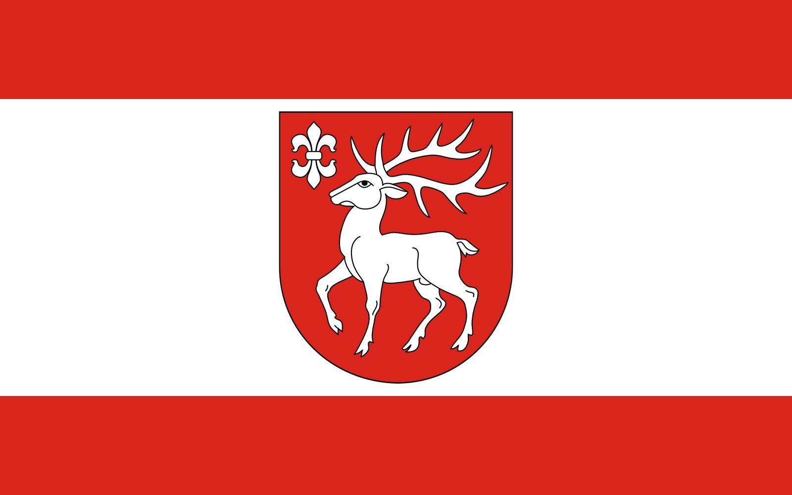 Drapeau gmina Sejny Pologne grand pavillon municipalité Sejny