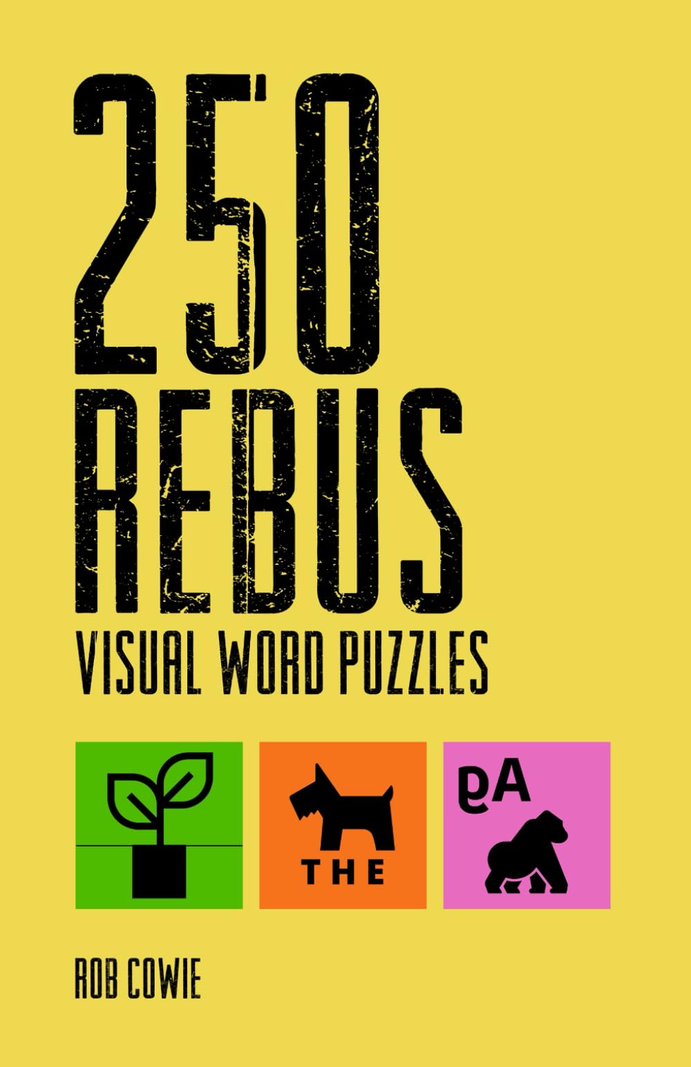 250 Rebus Visual Word Puzzles