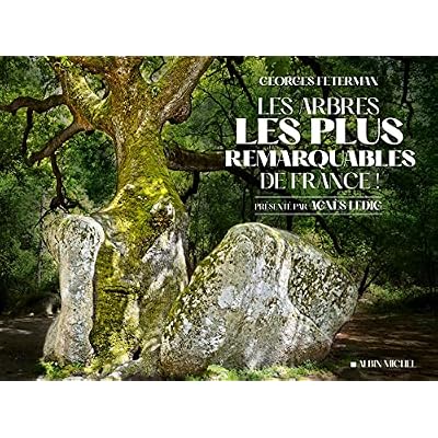 Les Arbres les plus remarquables de France
