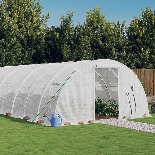 CZYLJLK Invernadero Blanco de 24 m² con Estructura de Acero galvanizado, Amplio Espacio transitable de 6x4x2 m para Plantas, Cubierta de PE Resistente a los Rayos UV para jardín Exterior y
