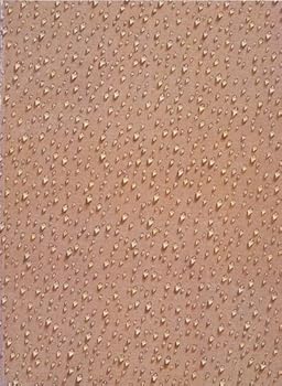 Paperback Reality of illusion : [exhibition catalog] Book