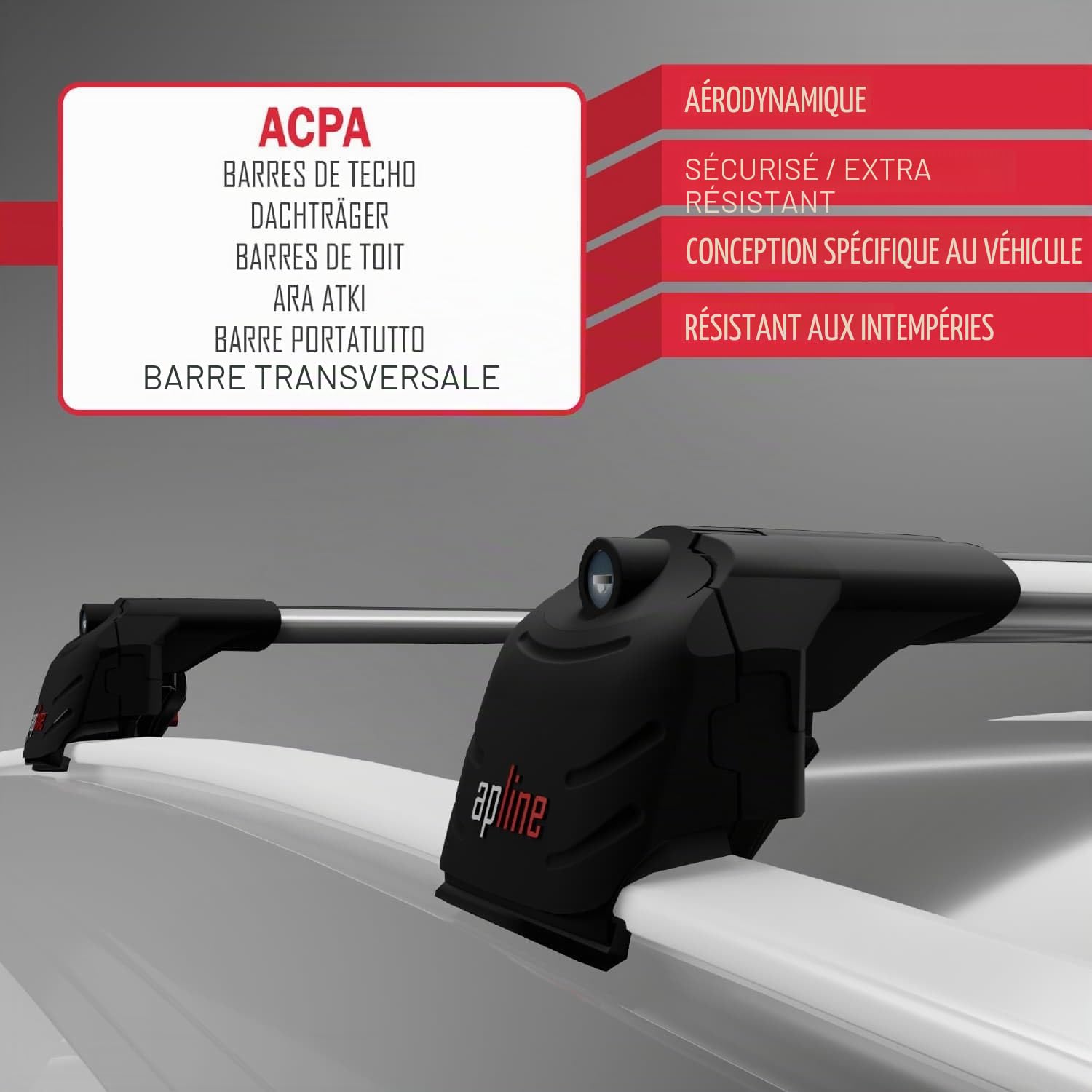 Compatible avec Nissan Qashqai 3 (J12) 2021-2026 ACE-2 modèle Barres de Toit Railing Porte-Bagages de Voiture Gris Aluminium Barres