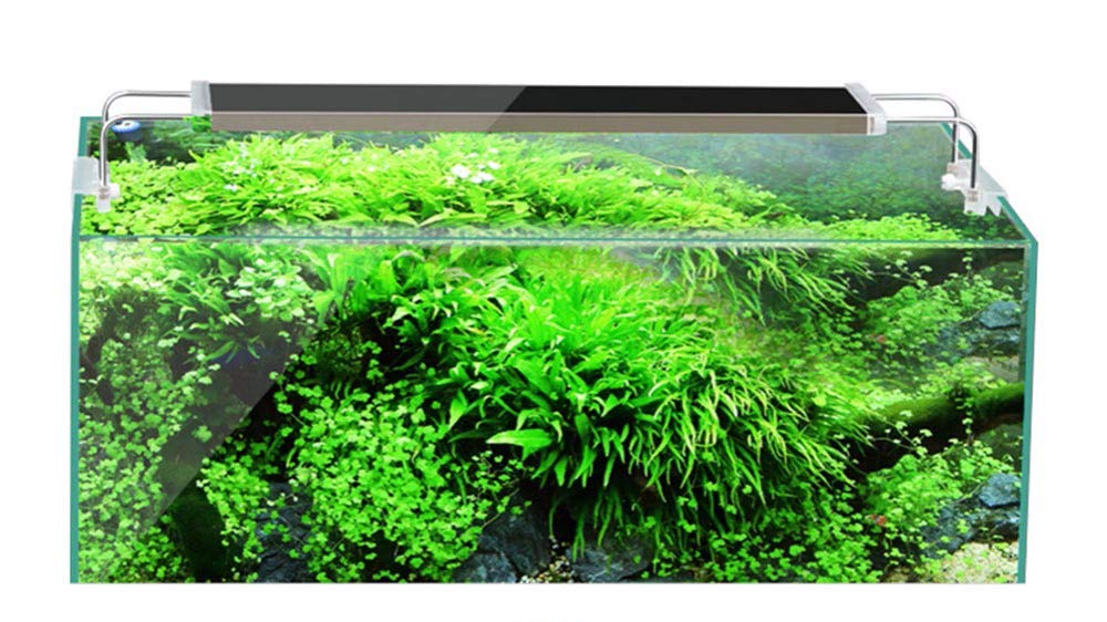 Pantalla Led especial acuarios plantados - Gran requerimiento. (Longitud acuario 48-65cm)