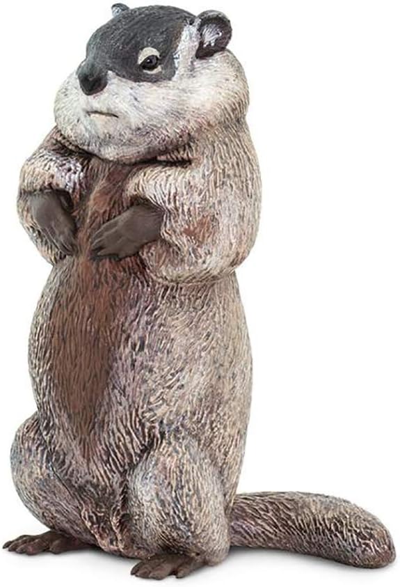 Safari Ltd. Groundhog Figurine - Detailed 4.5" Plastic Model Figure - Fun Educational Play Toy for Boys, Girls & Kids Ages 18 Months +