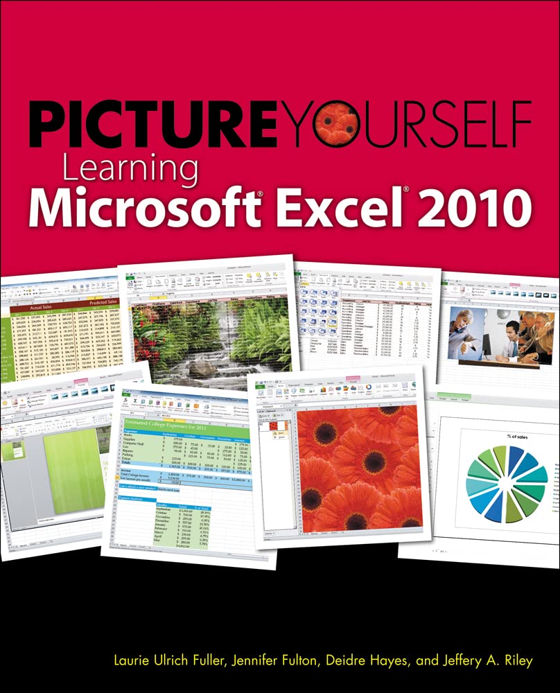 Buy Picture Yourself Learning Microsoft Excel 2010 — BookShops.in