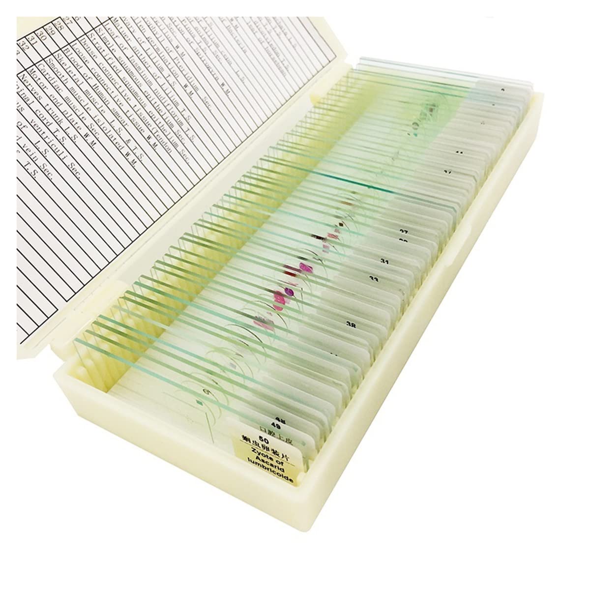 Kit di accessori per microscopio Microscopio preparato Slides Glass Biological Specimen 12 50 100 Vetrini per microscopio(50 pieces)