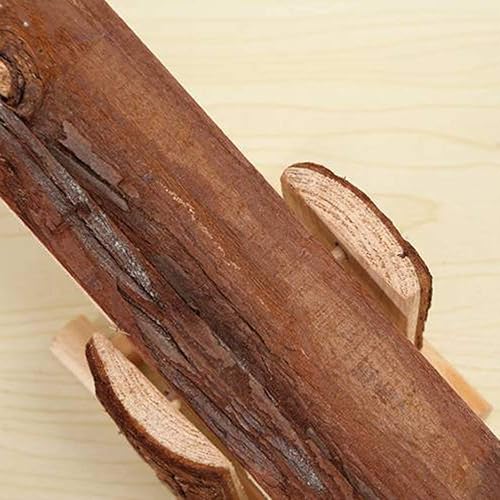 Miniatura 6 de Litewoo Plataforma de balancín de madera natural para animales pequeños, hámster, jerbo, ardilla, ratón, ejercicio, juguete, dientes, masticar,