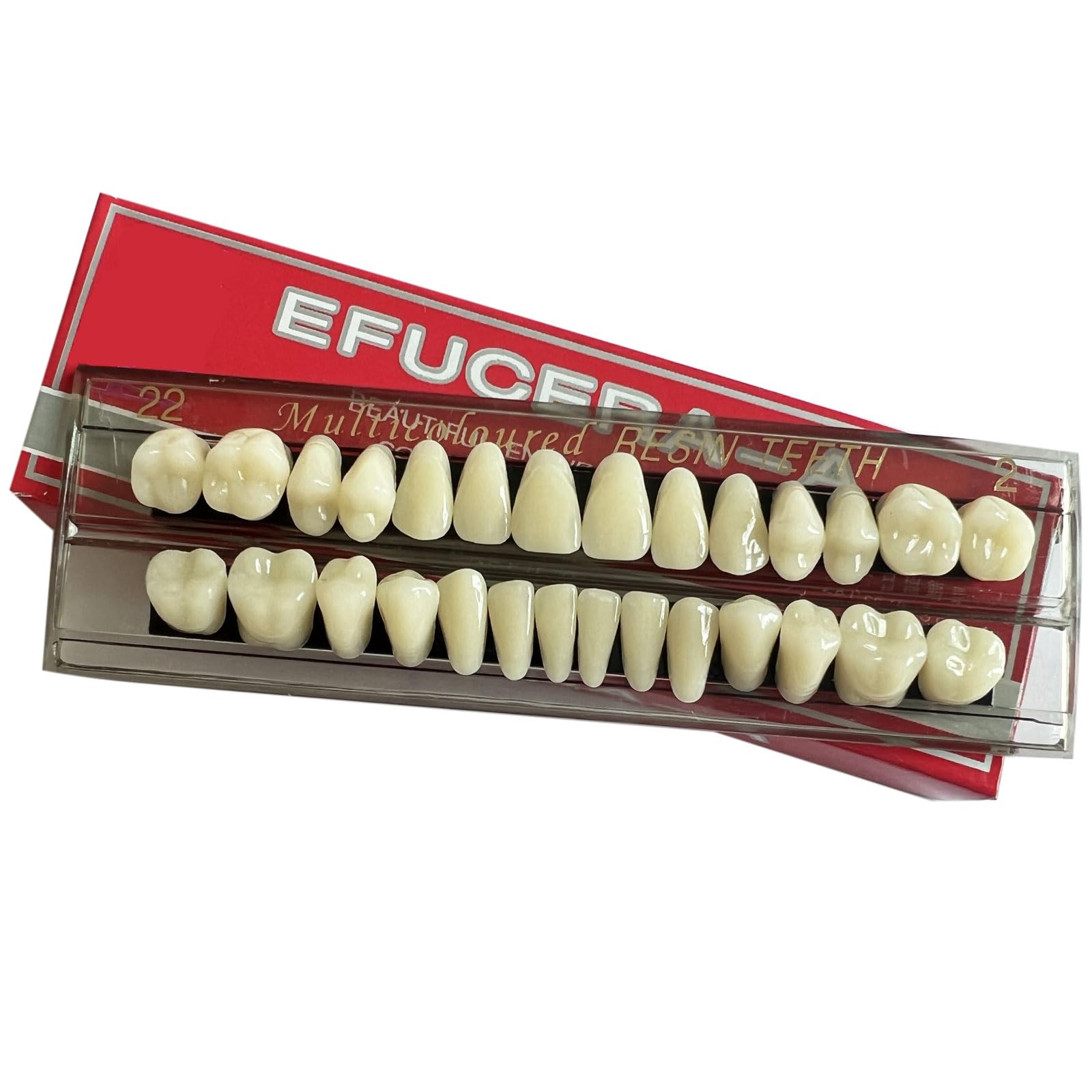 その他 Forelabs denture teeth A2 Dental Synthetic Polymer Teeth Resin Denture A1/A2/A3 28 Teeth/Set