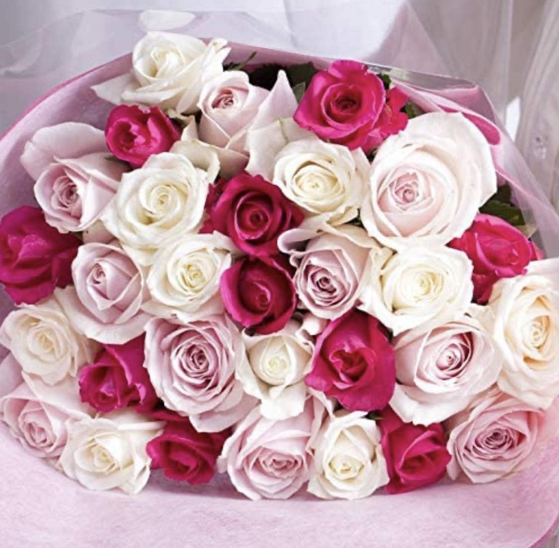 耽溺のススメ : 桃の種には毒がある 4 耽溺のススメ』 如月ひいろ