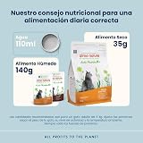 Ver la foto 3