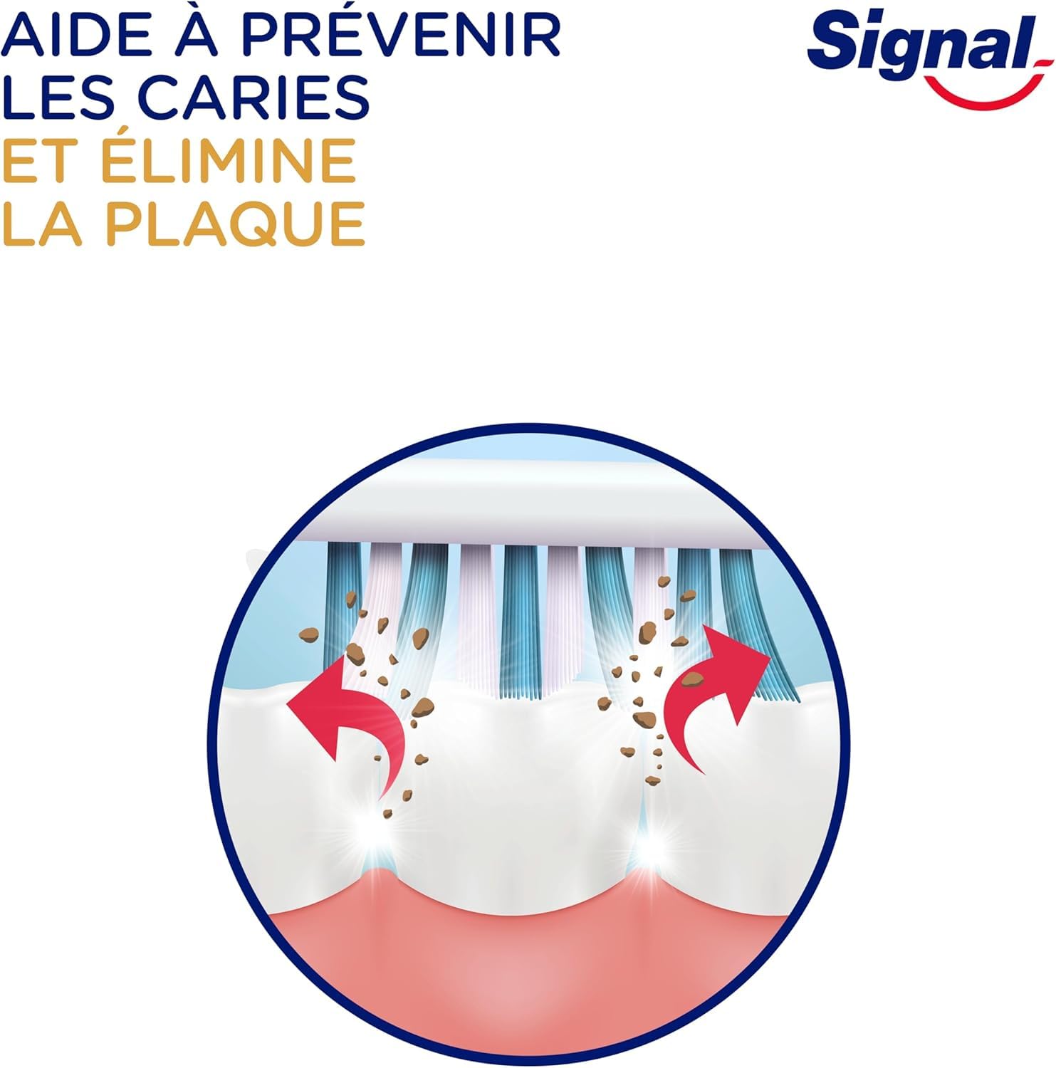 SIGNAL - Brosse à Dents Integral 8 Soin Complet - Action anti-plaque 100% prouvée - Emballage avec 75% de matériaux recyclés - Dure (lot de 12 brosses à dents), Couleur Aléatoire