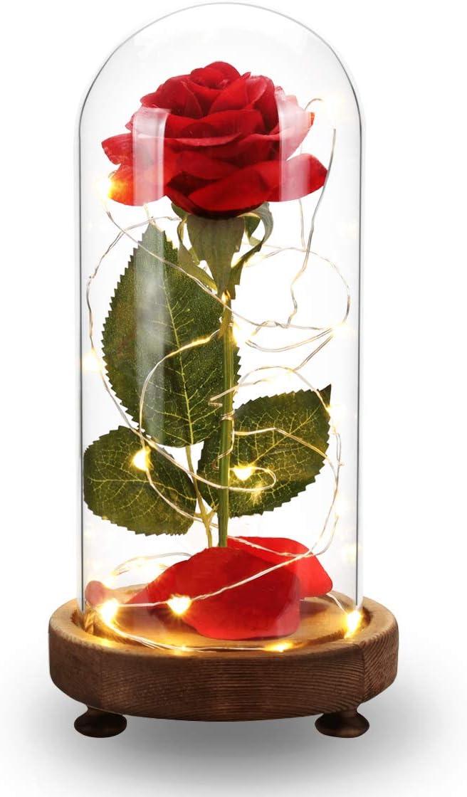 Dream of Flowers Beauty and the Beast Rose Kit, Red Silk Rose and LED Light with Fallen Petals in Glass Dome on a Wooden Base Best Gift for Wedding Anniversary Birthday Valentine's Day