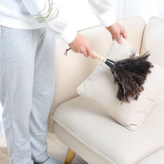 Ostrich Feather Duster, Household Dust Removal Tool with Wooden Handle, Quality Genuine Ostrich Feather Duster. (short (12.6 inch))