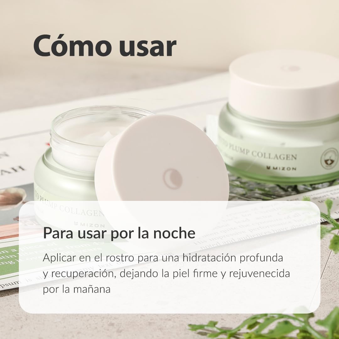 [Mizon] Crema de Noche al Colágeno Vegetal (50ml) Vegan y a base de plantas, Líneas finas y arrugas, Hidratación, Cuidado nocturno (Phyto Plump Collagen Night Cream)