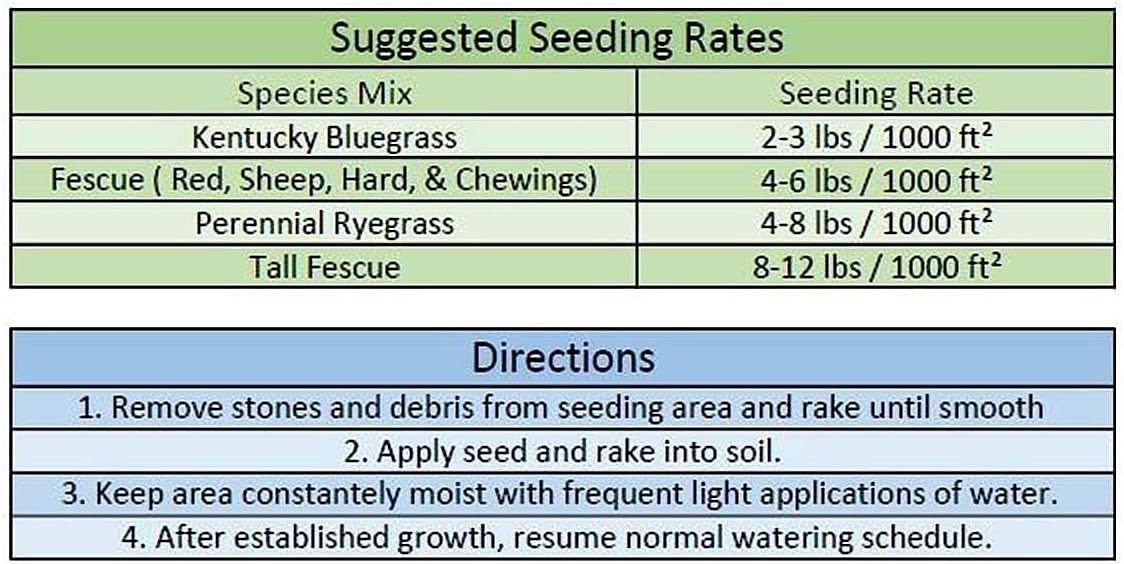 Jacklin Seed by Barenbrug - Heisman Mix | 85% Kentucky Bluegrass, 15% Perennial Ryegrass | Certified Grass Seed (5 lbs (2,000 sq ft))