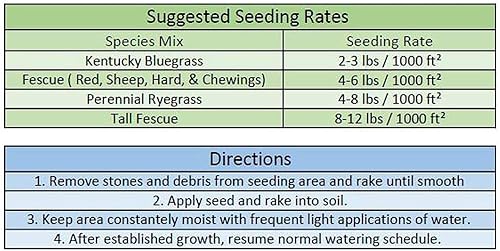 Miniatura 2 de Jacklin Seed de Barenbrug - Heisman Mix  85% Kentucky Bluegrass, 15% Ryegrass perenne  Semilla de césped certificada (5 libras (2,000 pies cuadrados)