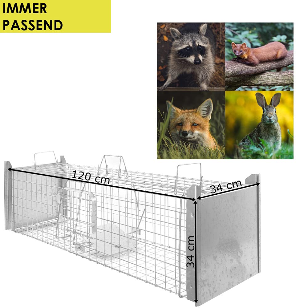 Animales Humane Trampa Jaula Captura Gato Zorro Castor Mapache 120 x 34 x 34 cm Petigi