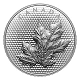 royal canadian mint monnaie royale canadienne INTERESSANT – 99,99% reines Silber!
