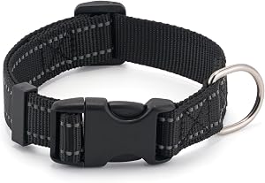 Top-Rated Nylon Adjustable Collar — Best Overall