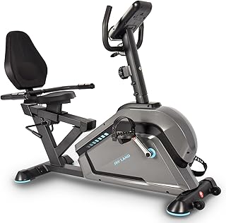 SKY LAND Recumbent Exercise Bike with 8-Level Magnetic Resistance