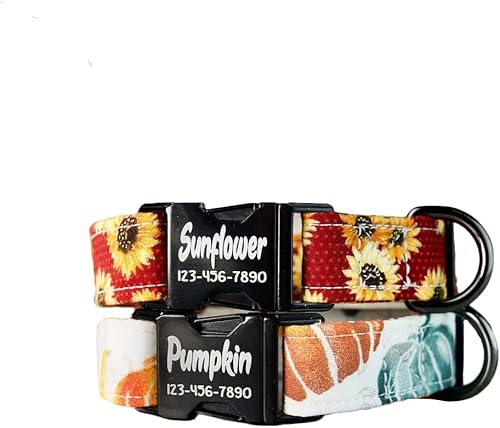 Fall Style Dog Collars w/metal buckle, HAND MADE, Custom Engraved Personalized Collar, 1 inch wide, designer collars, Floral or Pumpkin