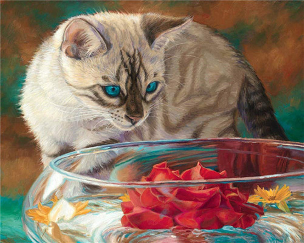 WOWDECOR Malen Nach Zahlen Kit – „Blaue Katze Im Regen“, 40x50 Cm, Mit Rahmen & Acrylfarben, Für Erwachsene & Kinder