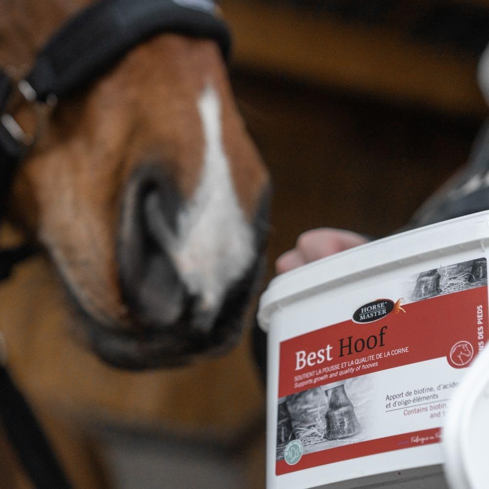 Horse Master Best Hoof Biotine – 10 kg
