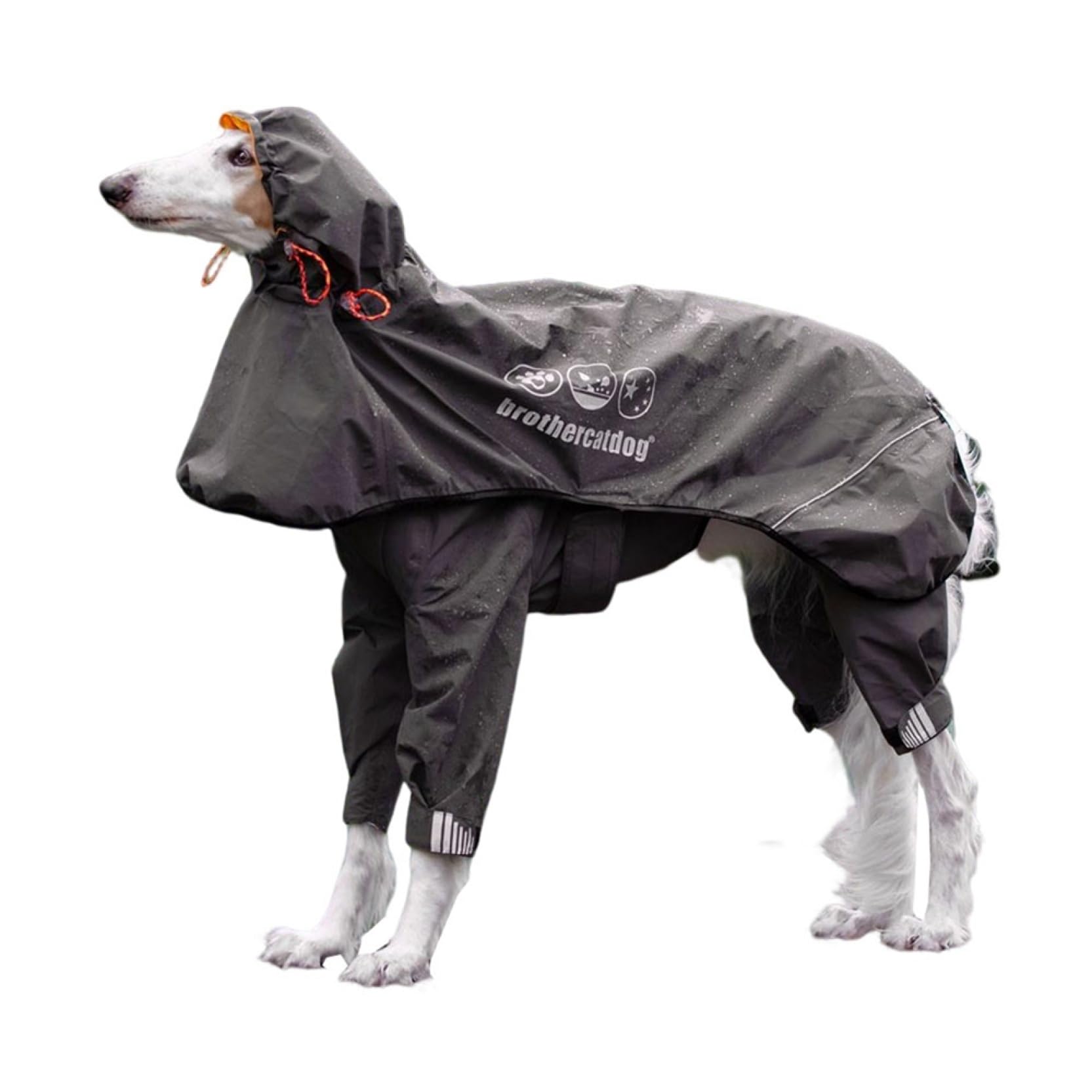 Amazon | 犬レインコート ポンチョ 大型犬 中型犬 リード穴付き 犬用