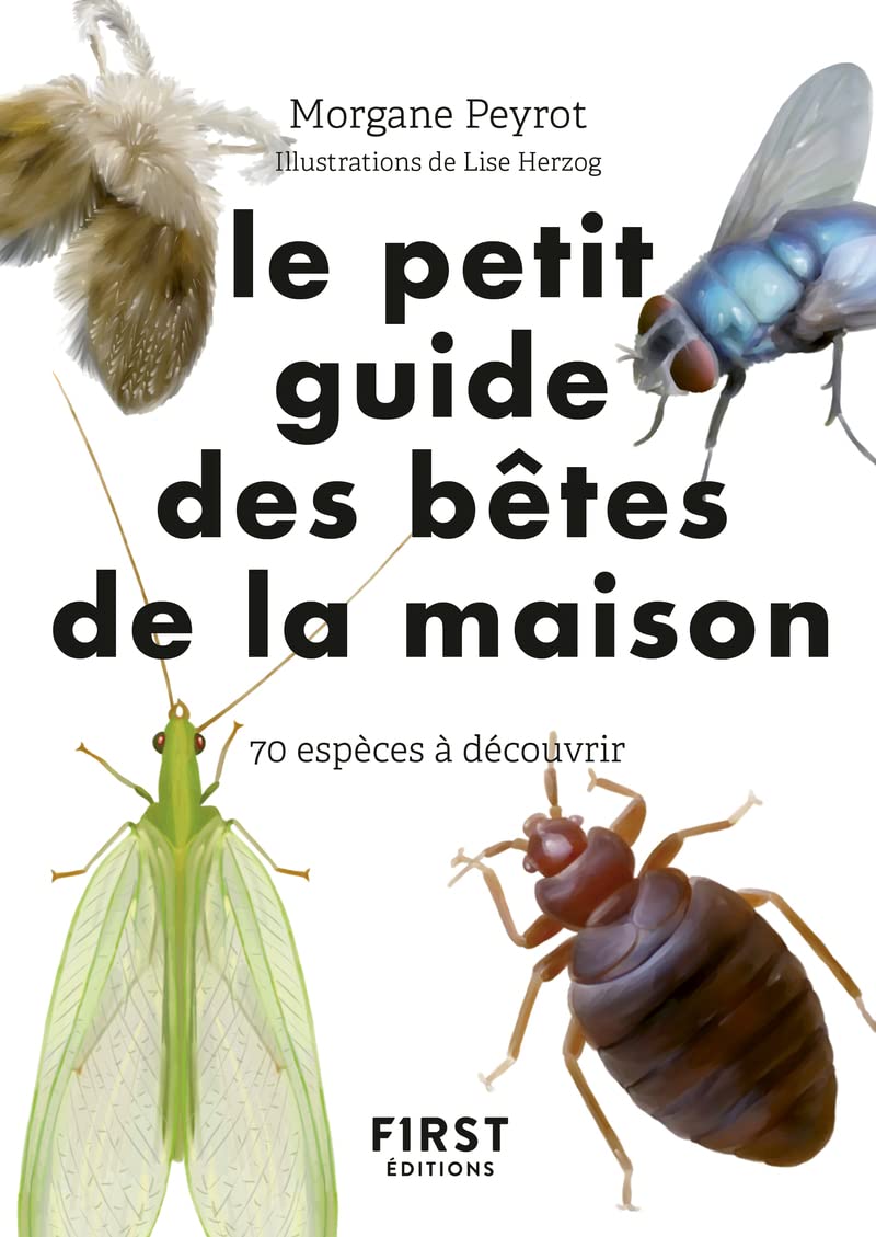Petit guide d'observation des petites bêtes de la maison: 70 espèces à découvrir
