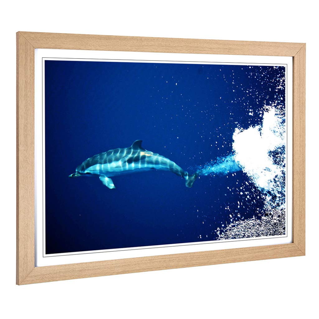 Big Box Art Framed Print of Dolphin 2 Design | Wall Art Picture | Home Decor for Kitchen, Living, Dining Room, Lounge, Bedroom, Hallway, Office, Oak, A2 / 24.5x18 Inch / 62x45cm