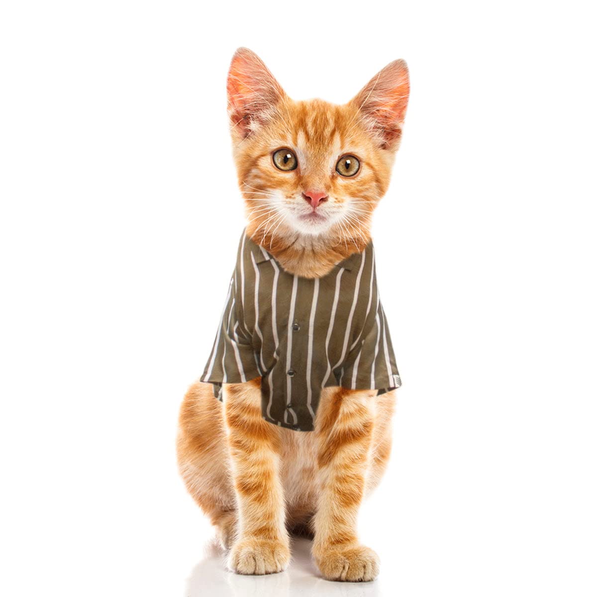 Ruse Pet Aztec Cat Collar Shirt | SoftTech Half Sleeves/Apparel/Clothes Shirt Gift for Cat Collars.