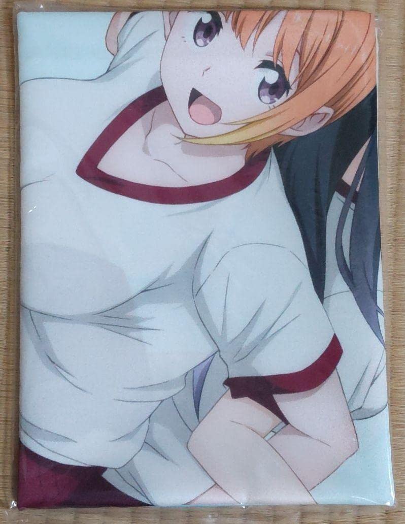 見える子ちゃん Blu-ray&DVD Amazon全巻購入特典B2布ポスター Amazon.co.jp: 見える子ちゃん全巻特典B2布ポスター : おもちゃ