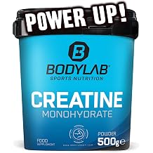 bodylab24 creatine powder 100% monohydrate powder highest purity for muscle growth premium quality 500 g container