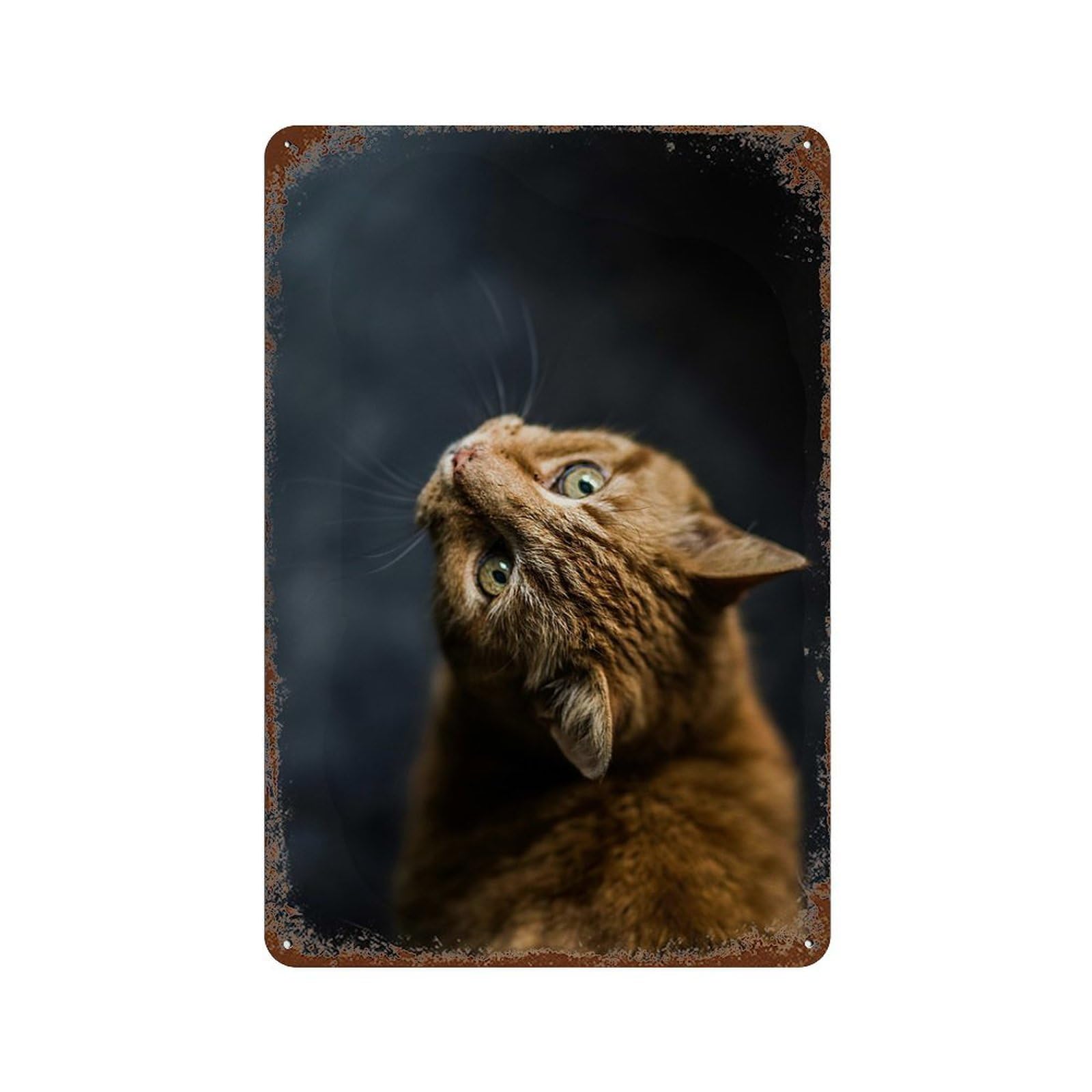 Curious Ginger Cat 11.8"x7.9" Rust Effect Tin Sign, Vintage Wall Decor for Farmhouse, Kitchen And Entryway Decor