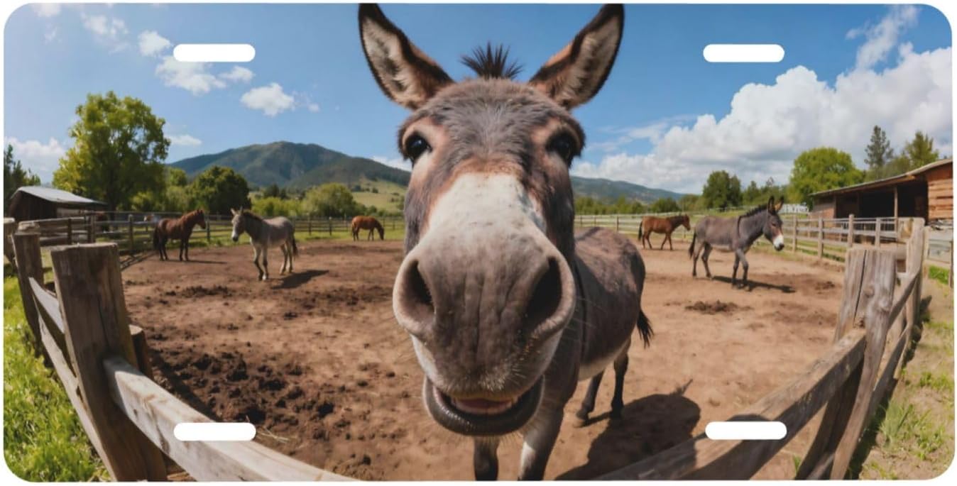 Donkey Ranch Front License Plate Car Decorative License Plates Aluminum Metal Decor Accessory Novelty Vanity Tag Cover with 4 Holes for Men Women 6" X 12"